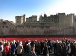Londen, 3 -4 en 5 November 2014
Harrods, Tower Bridge, Ondergrondse