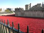 Londen, 3 -4 en 5 November 2014
Harrods, Tower Bridge, Ondergrondse