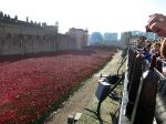 Londen, 3 -4 en 5 November 2014
Harrods, Tower Bridge, Ondergrondse
