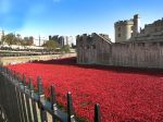 Londen, 3 -4 en 5 November 2014
Harrods, Tower Bridge, Ondergrondse