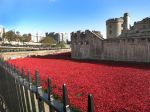 Londen, 3 -4 en 5 November 2014
Harrods, Tower Bridge, Ondergrondse