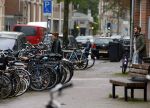 Amsterdam 21 oktober 2015
Manuel Broekman gaat met zijn vriendin Adriana Mosk met hun hond naar de dierenarts.