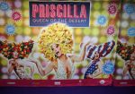 Amsterdam 11 november 2015
Premiere queen of the dessert met oa Jason Donovan Simon Greete Adam Bailey en Philip Childs in carre.