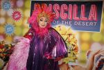 Amsterdam 11 november 2015
Premiere queen of the dessert met oa Jason Donovan Simon Greete Adam Bailey en Philip Childs in carre.