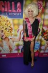 Amsterdam 11 november 2015
Premiere queen of the dessert met oa Jason Donovan Simon Greete Adam Bailey en Philip Childs in carre.