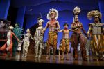 Scheveningen 30 oktober 2016
Premiere the lion king in het circustheater. slotaplaus met de cast.