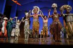 Scheveningen 30 oktober 2016
Premiere the lion king in het circustheater. slotaplaus met de cast.