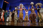 Scheveningen 30 oktober 2016
Premiere the lion king in het circustheater. slotaplaus met de cast.