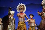 Scheveningen 30 oktober 2016
Premiere the lion king in het circustheater. slotaplaus met de cast.