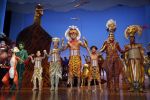 Scheveningen 30 oktober 2016
Premiere the lion king in het circustheater. slotaplaus met de cast.