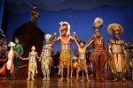 Scheveningen 30 oktober 2016
Premiere the lion king in het circustheater. slotaplaus met de cast.