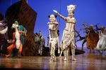 Scheveningen 30 oktober 2016
Premiere the lion king in het circustheater. slotaplaus met de cast.