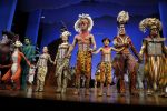 Scheveningen 30 oktober 2016
Premiere the lion king in het circustheater. slotaplaus met de cast.