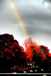 Amsterdam 5 november 2016 
Regenboog in Amsterdam