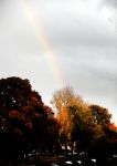 Amsterdam 5 november 2016 
Regenboog in Amsterdam