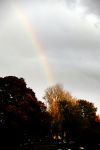 Amsterdam 5 november 2016 
Regenboog in Amsterdam