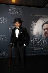 Amsterdam 15 november 2016
Premiere Fantastic beasts in Tuschinski. Wibi Soerjadi
