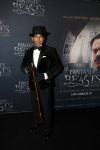 Amsterdam 15 november 2016
Premiere Fantastic beasts in Tuschinski. Wibi Soerjadi