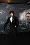 Amsterdam 15 november 2016
Premiere Fantastic beasts in Tuschinski. Wibi Soerjadi