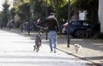 Amsterdam 21 oktober 2017
Candy Dulfer en haar nieuwe vriend Rafael arriveren bij haar huis.   Bela Szenasi de ex-man Candy Dulfer  laat hun hond uit