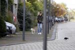 Amsterdam 21 oktober 2017
Candy Dulfer en haar nieuwe vriend Rafael arriveren bij haar huis.   Bela Szenasi de ex-man Candy Dulfer  laat hun hond uit