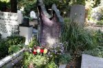 Amsterdam 9 oktober 2018
Diverse graven van bekende Nederlanders (Bners) op Zorgvlied.
Dit is het graf van  Annie MG Schmidt