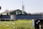 Rijsenhout 20 oktober 2018
Boer Jaap van boer zoekt vrouw woont in Rijsenhout .