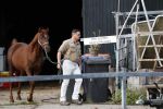 Wijdewormer 19 oktober 2018
Marnix Knetemann aan het werk op zijn boerderij. Zij zus Elise komt op bezoek met haar pas geboren baby.
