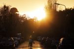Nigtevecht 2 november 2018
Ondergaande zon in Nigtevecht