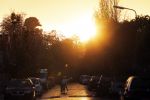 Nigtevecht 2 november 2018
Ondergaande zon in Nigtevecht