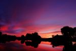 Nigtevecht 8 oktober 2018
Zonsopkomst Nigtevecht vanuit onze tuin gefotografeerd.