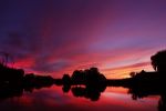 Nigtevecht 8 oktober 2018
Zonsopkomst Nigtevecht vanuit onze tuin gefotografeerd.