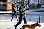 Amsterdam 27 oktober 2018
Herdenkingsdienst voor Wim Kok in het Concertgebouw van Amsterdam. Politiehond