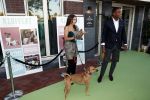 Amsterdam 4 oktober 2018
Gala ten bate van het Kluivert Dog rescue center op Curacao (patrick en Rosanna Kluivert) in het Pescana Hotel.