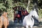 Boekel 10 oktober 2018
Steffi Verhagen aan het werk bij haar boerderij. In beokel zijn momenteel veel wolven waar jacht op wordt gemaakt door jagers.