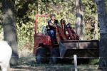 Boekel 10 oktober 2018
Steffi Verhagen aan het werk bij haar boerderij. In beokel zijn momenteel veel wolven waar jacht op wordt gemaakt door jagers.