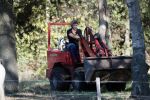 Boekel 10 oktober 2018
Steffi Verhagen aan het werk bij haar boerderij. In beokel zijn momenteel veel wolven waar jacht op wordt gemaakt door jagers.