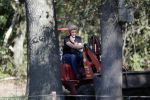 Boekel 10 oktober 2018
Steffi Verhagen aan het werk bij haar boerderij. In beokel zijn momenteel veel wolven waar jacht op wordt gemaakt door jagers.