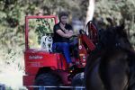 Boekel 10 oktober 2018
Steffi Verhagen aan het werk bij haar boerderij. In beokel zijn momenteel veel wolven waar jacht op wordt gemaakt door jagers.