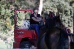Boekel 10 oktober 2018
Steffi Verhagen aan het werk bij haar boerderij. In beokel zijn momenteel veel wolven waar jacht op wordt gemaakt door jagers.