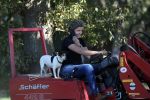 Boekel 10 oktober 2018
Steffi Verhagen aan het werk bij haar boerderij. In beokel zijn momenteel veel wolven waar jacht op wordt gemaakt door jagers.