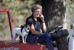 Boekel 10 oktober 2018
Steffi Verhagen aan het werk bij haar boerderij. In beokel zijn momenteel veel wolven waar jacht op wordt gemaakt door jagers.