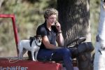 Boekel 10 oktober 2018
Steffi Verhagen aan het werk bij haar boerderij. In beokel zijn momenteel veel wolven waar jacht op wordt gemaakt door jagers.