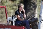 Boekel 10 oktober 2018
Steffi Verhagen aan het werk bij haar boerderij. In beokel zijn momenteel veel wolven waar jacht op wordt gemaakt door jagers.