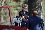 Boekel 10 oktober 2018
Steffi Verhagen aan het werk bij haar boerderij. In beokel zijn momenteel veel wolven waar jacht op wordt gemaakt door jagers.