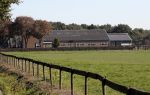 Boekel 10 oktober 2018
Steffi Verhagen aan het werk bij haar boerderij. In beokel zijn momenteel veel wolven waar jacht op wordt gemaakt door jagers.