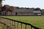 Boekel 10 oktober 2018
Steffi Verhagen aan het werk bij haar boerderij. In beokel zijn momenteel veel wolven waar jacht op wordt gemaakt door jagers.
