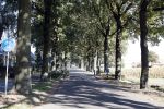 Boekel 10 oktober 2018
Steffi Verhagen aan het werk bij haar boerderij. In beokel zijn momenteel veel wolven waar jacht op wordt gemaakt door jagers.
