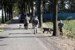 Boekel 10 oktober 2018
Steffi Verhagen aan het werk bij haar boerderij. In beokel zijn momenteel veel wolven waar jacht op wordt gemaakt door jagers.