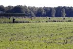 Boekel 10 oktober 2018
Steffi Verhagen aan het werk bij haar boerderij. In beokel zijn momenteel veel wolven waar jacht op wordt gemaakt door jagers.